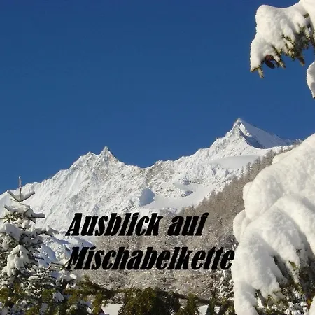 Amedee Appartement-fewo 5-bettwohnung Nr- 1 By Interhome Appartamento Saas-Fee